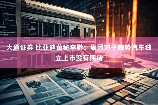 大通证券 比亚迪董秘李黔：集团对于腾势汽车独立上市没有期待