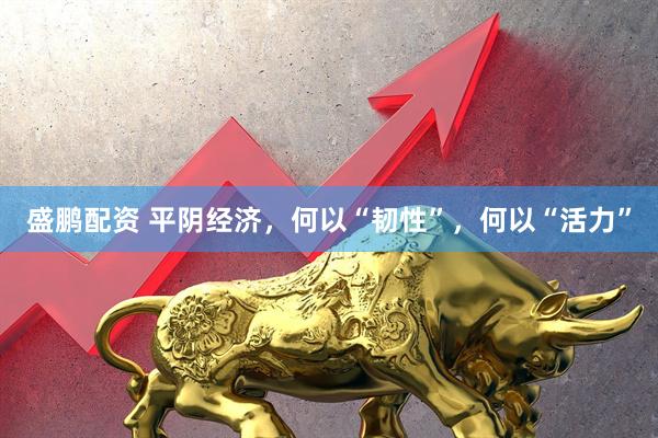 盛鹏配资 平阴经济，何以“韧性”，何以“活力”