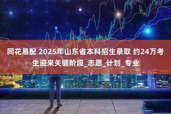 同花易配 2025年山东省本科招生录取 约24万考生迎来关键阶段_志愿_计划_专业