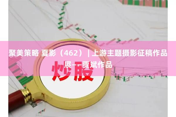 聚美策略 夏影（462） | 上游主题摄影征稿作品展——贾斌作品