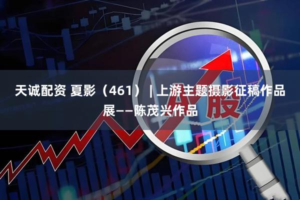 天诚配资 夏影（461） | 上游主题摄影征稿作品展——陈茂兴作品