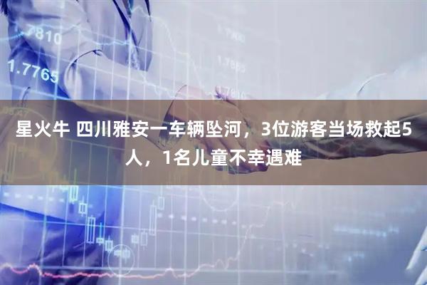 星火牛 四川雅安一车辆坠河，3位游客当场救起5人，1名儿童不幸遇难