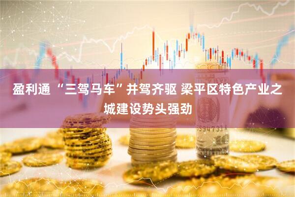 盈利通 “三驾马车”并驾齐驱 梁平区特色产业之城建设势头强劲