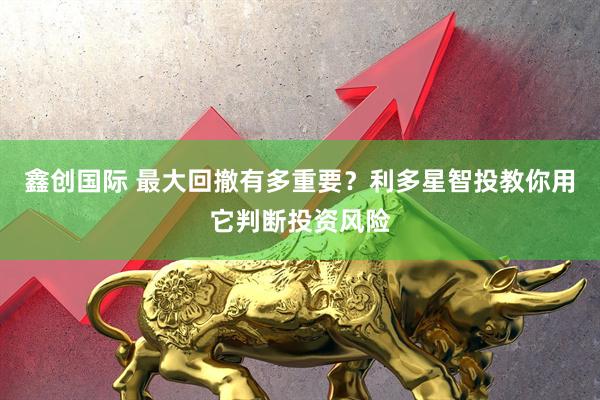 鑫创国际 最大回撤有多重要？利多星智投教你用它判断投资风险