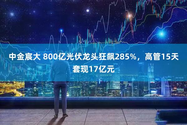 中金宸大 800亿光伏龙头狂飙285%，高管15天套现17亿元