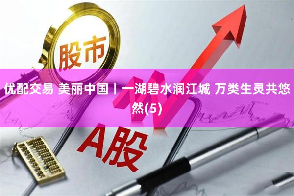 优配交易 美丽中国丨一湖碧水润江城 万类生灵共悠然(5)